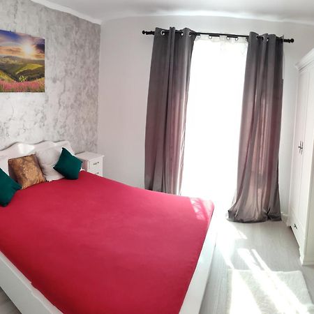 Apartament Gabriela Nagybánya Kültér fotó
