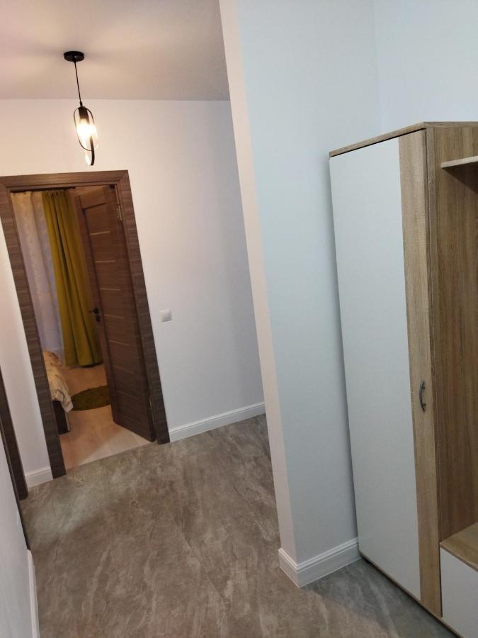 Apartament Gabriela Nagybánya Kültér fotó