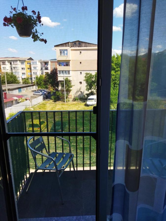 Apartament Gabriela Nagybánya Kültér fotó